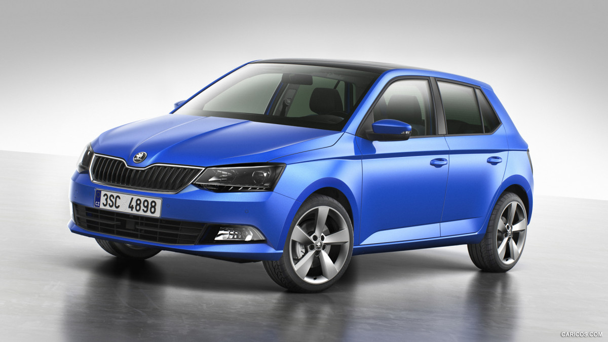 Skoda Fabia фото 141059