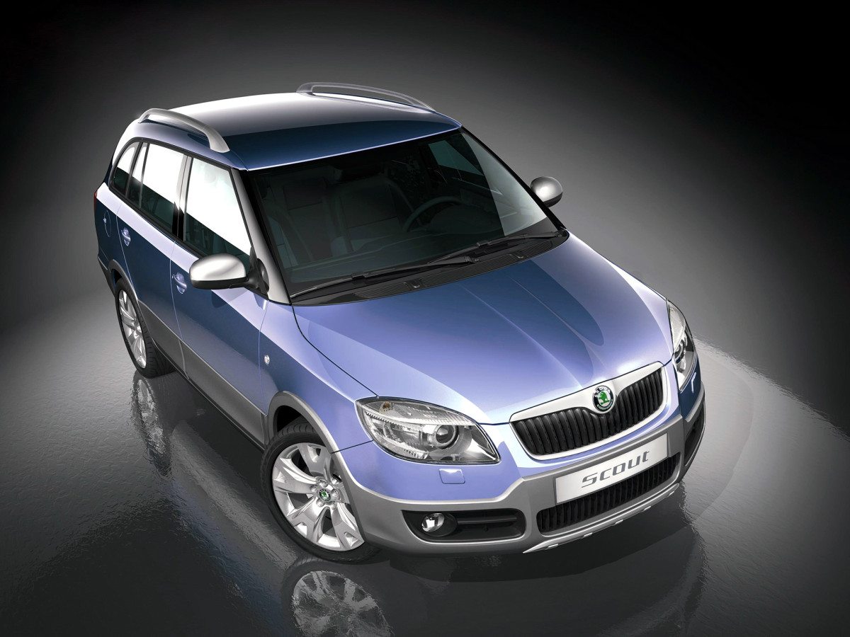 Skoda Fabia фото 49296