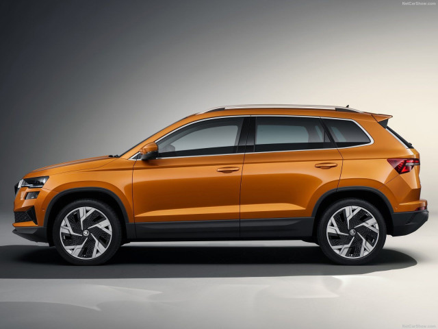 Skoda Karoq фото