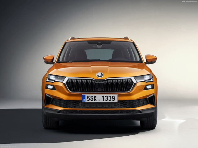 Skoda Karoq фото