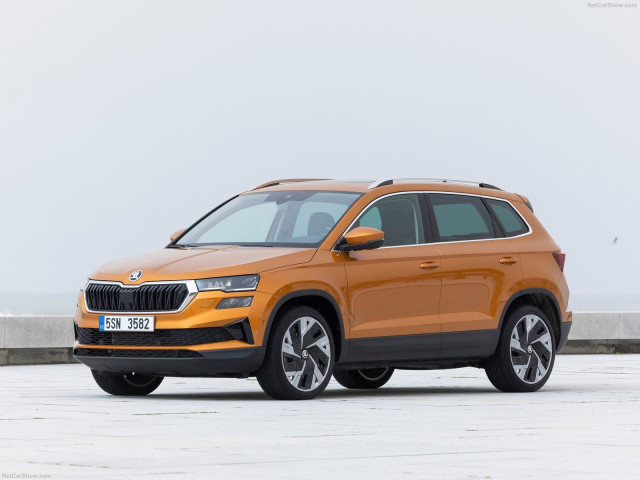 Skoda Karoq фото