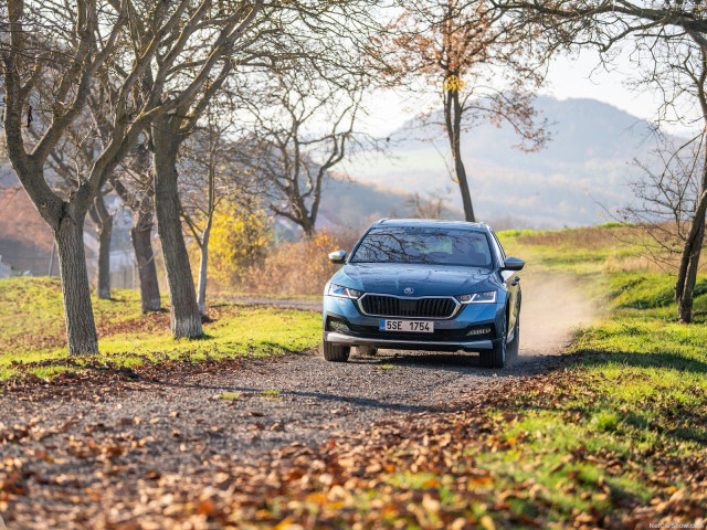 Skoda Octavia Scout фото