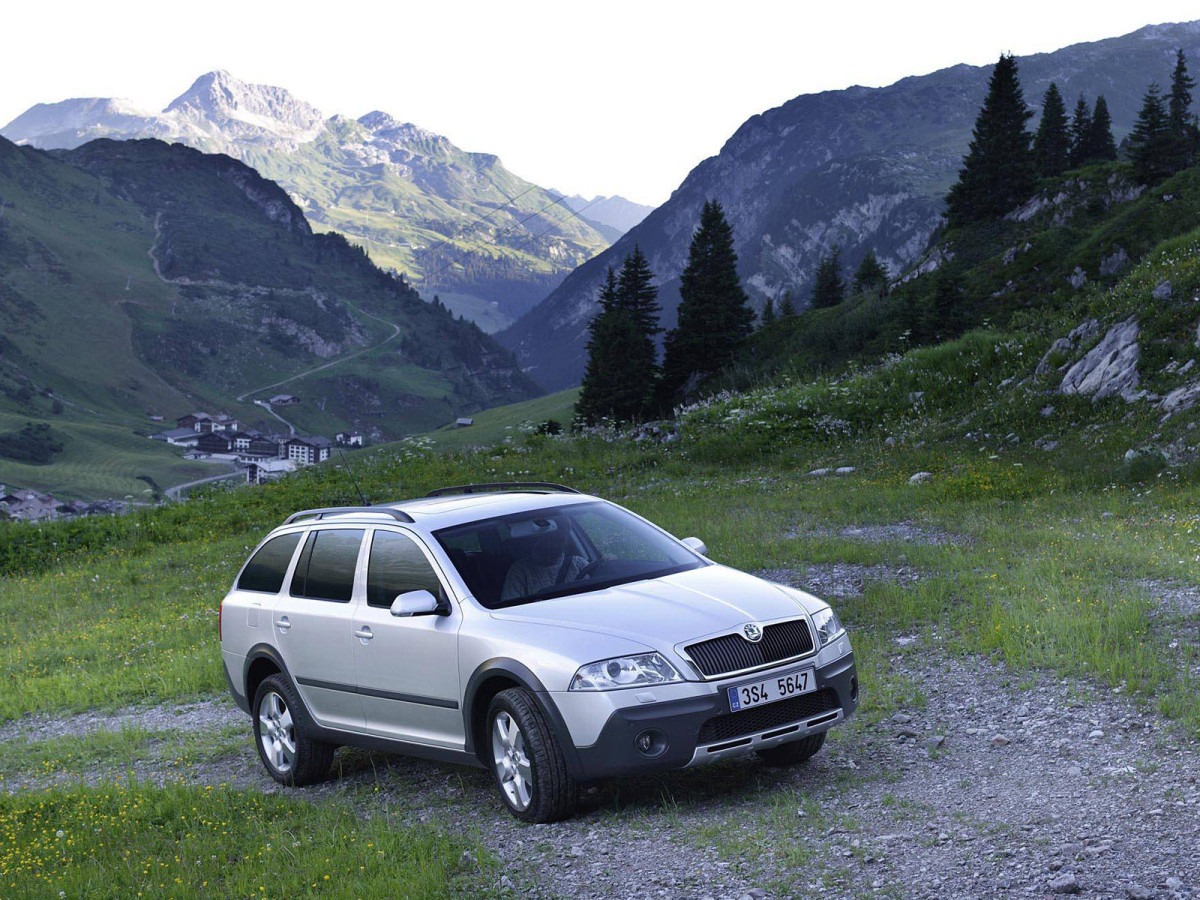 Skoda Octavia Scout фото 42949