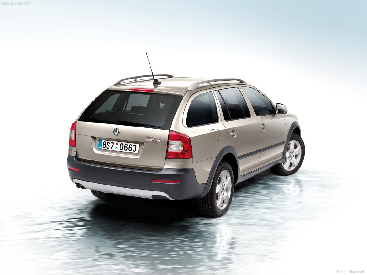 Skoda Octavia Scout фото 65486