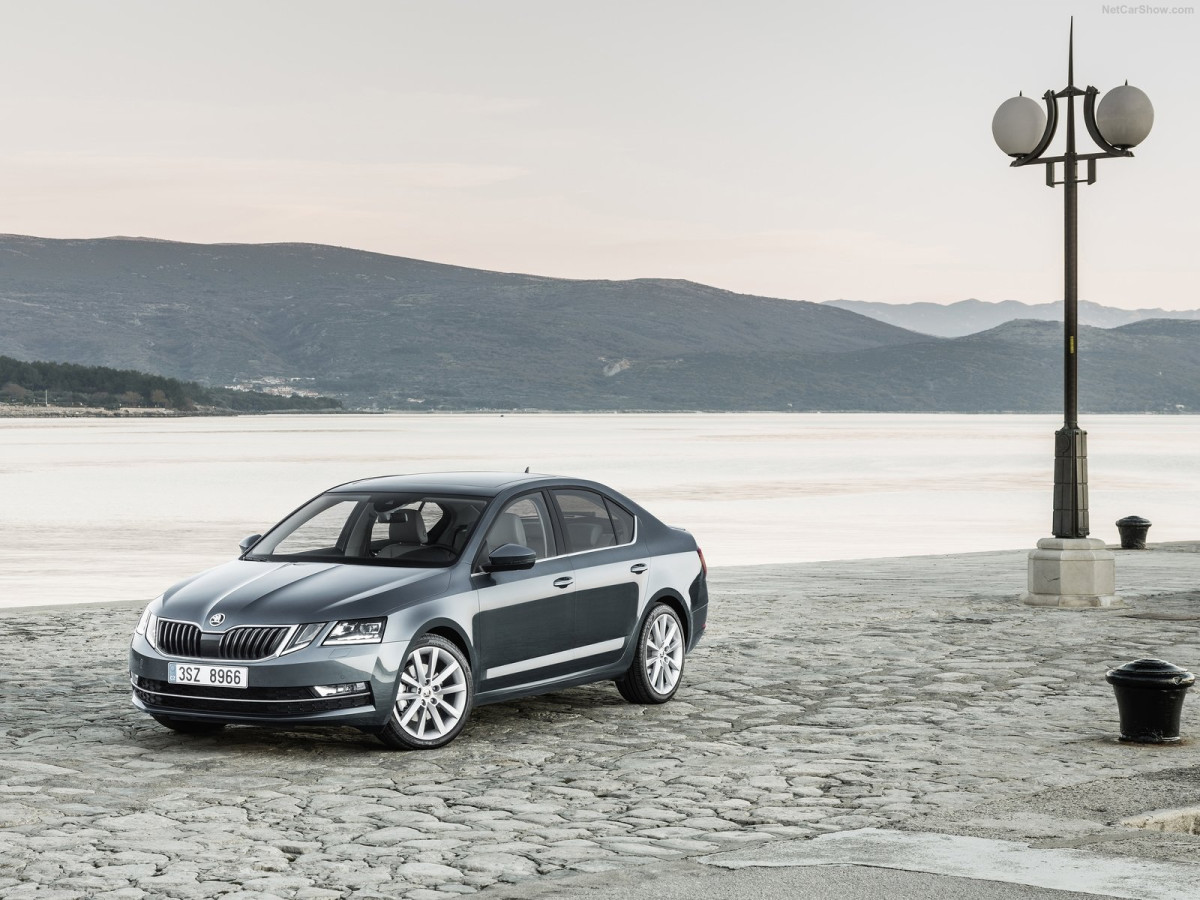 Skoda Octavia фото 181101