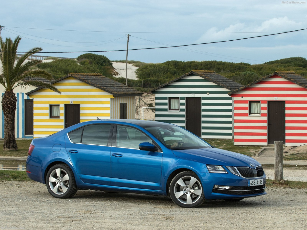 Skoda Octavia фото 181105
