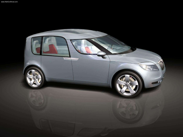 Skoda Roomster фото