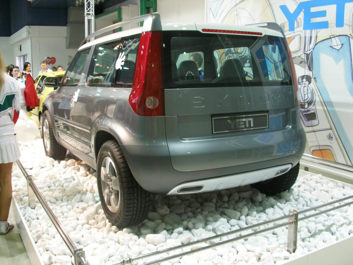 Skoda Yeti фото 28974