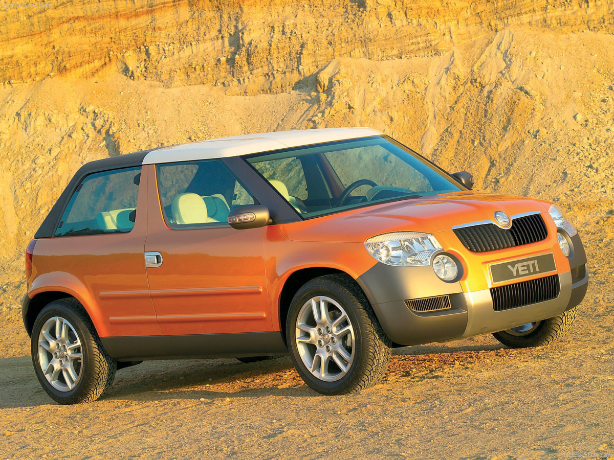Skoda Yeti фото 45943