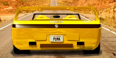 Spencen Puma фото 25550