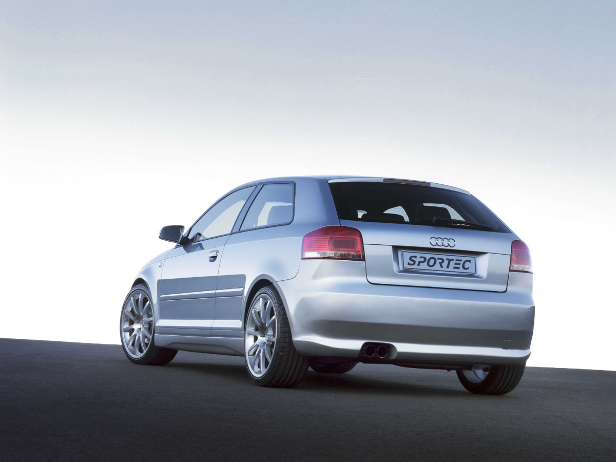 Sportec Audi A3 RS175D фото 14030