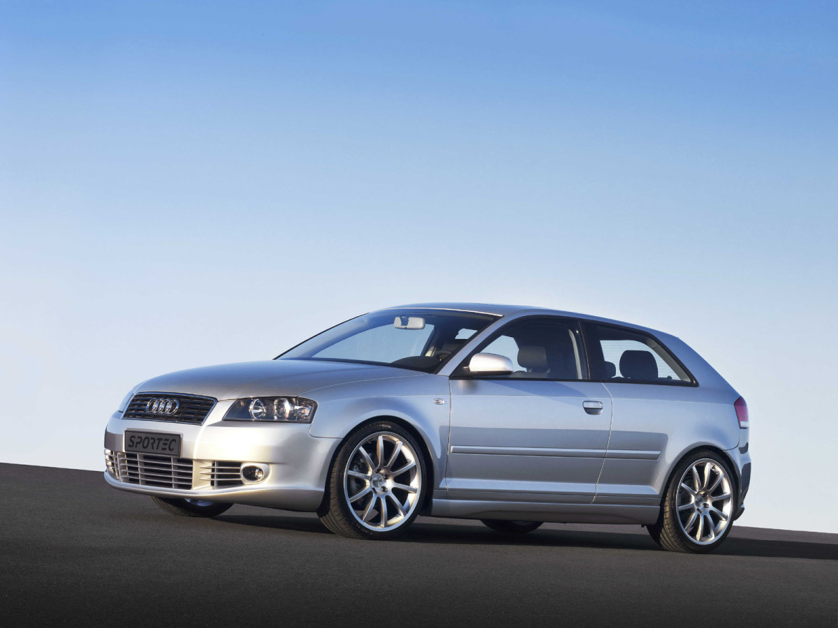 Sportec Audi A3 RS175D фото 14031