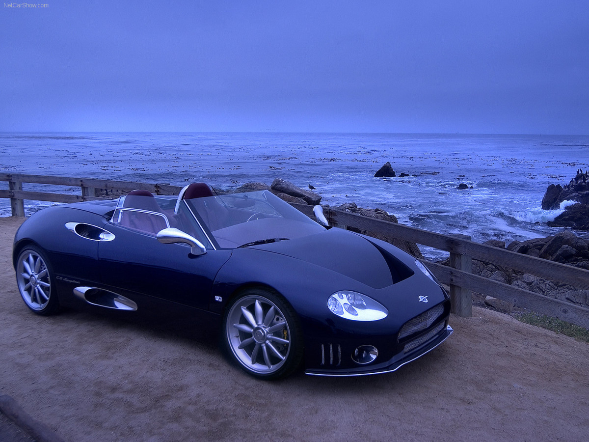 Spyker C8 Spyder фото 38330