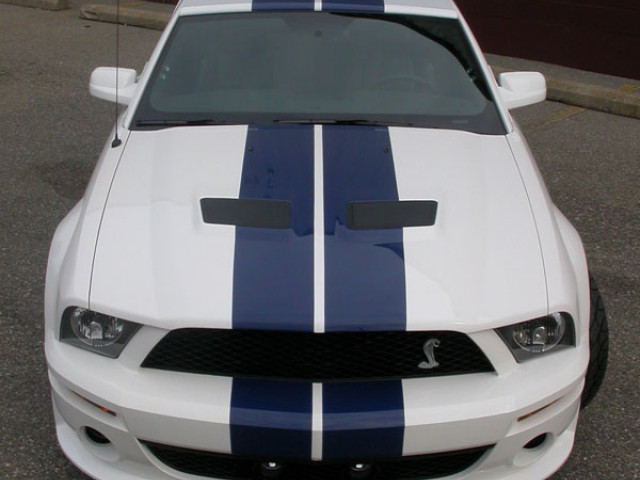 StangNet Design Mustang Shelby GT500 фото