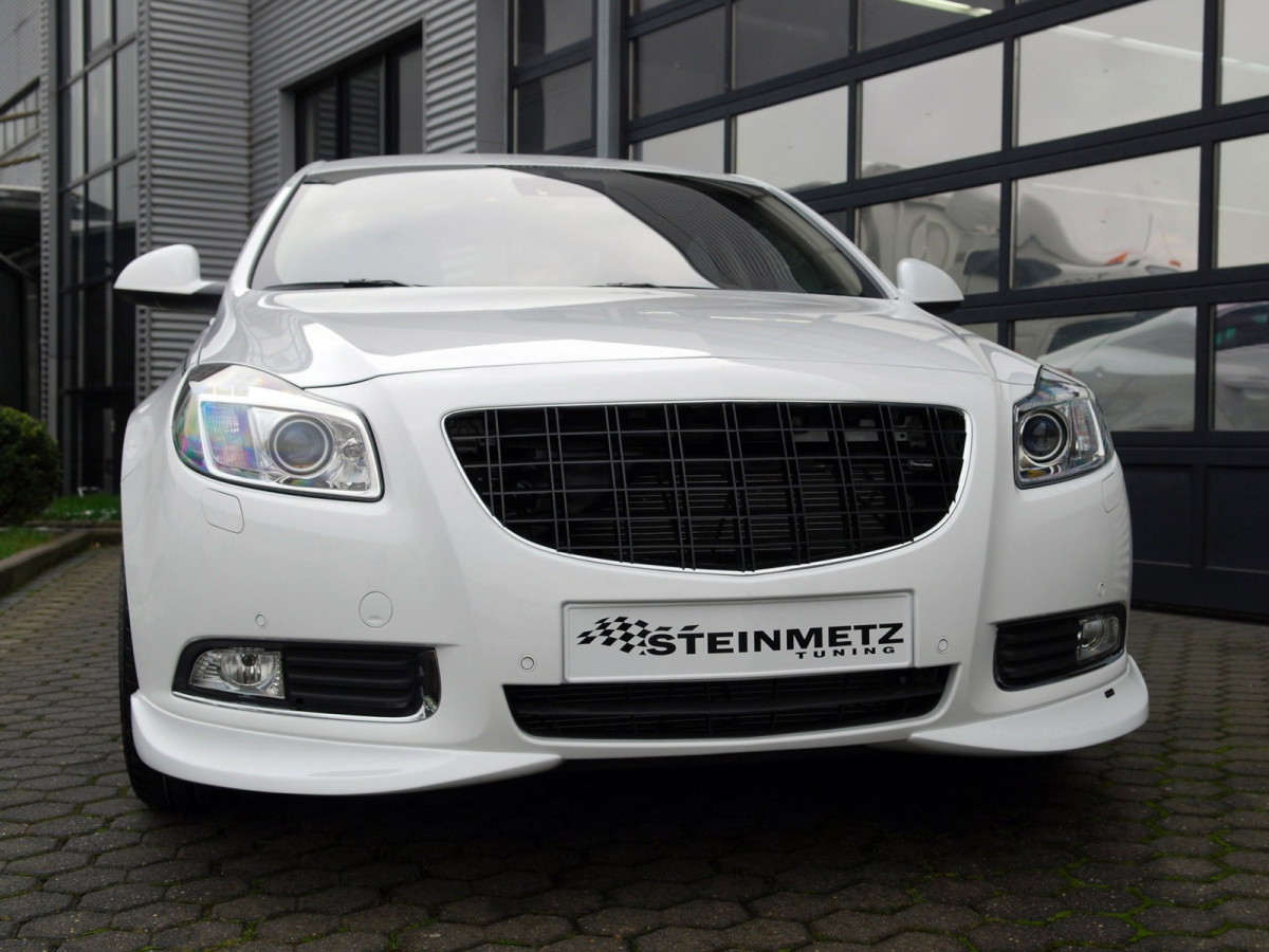 Steinmetz Opel Insignia фото 61069