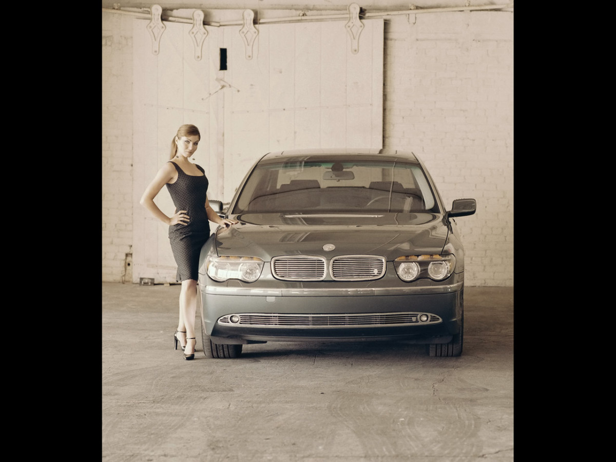 STRUT BMW 7 Series фото 21652