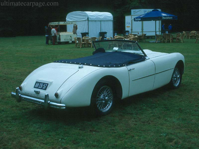 Swallow Doretti фото