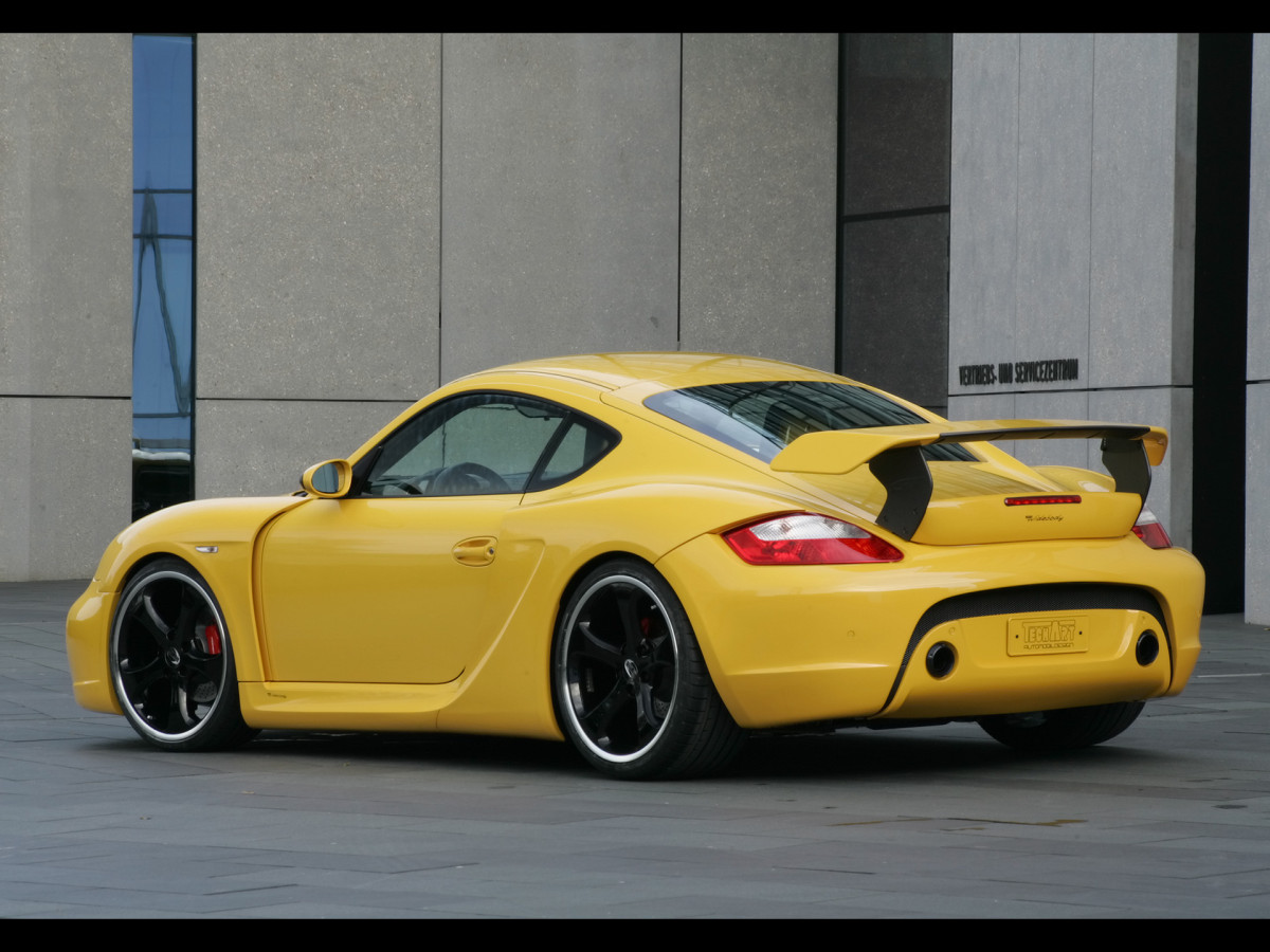 Techart Porsche Cayman S фото 47925