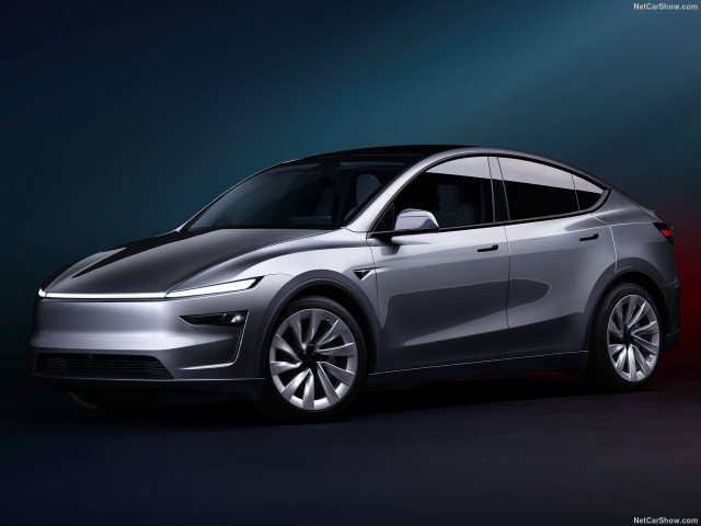 Tesla Model Y фото