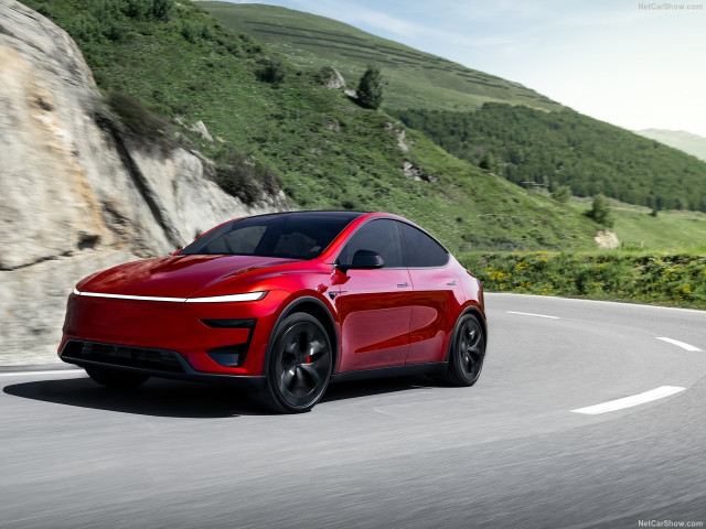 Tesla Model Y фото