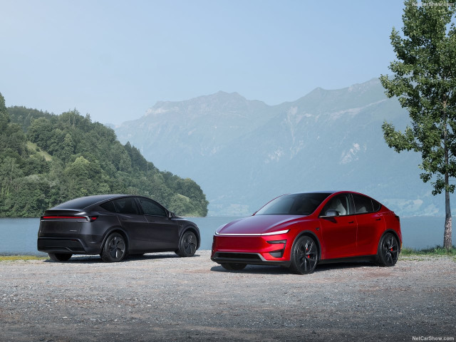 Tesla Model Y фото