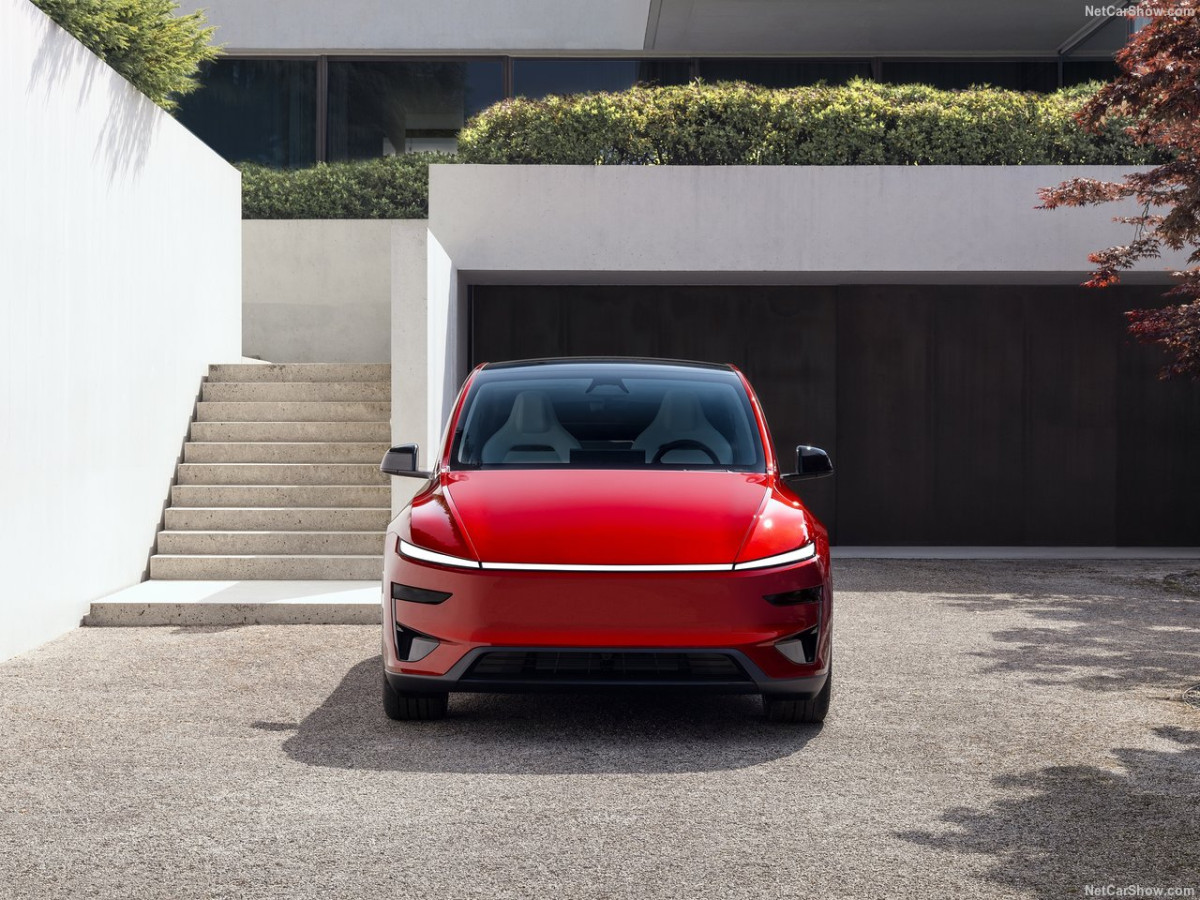 Tesla Model Y фото 213152