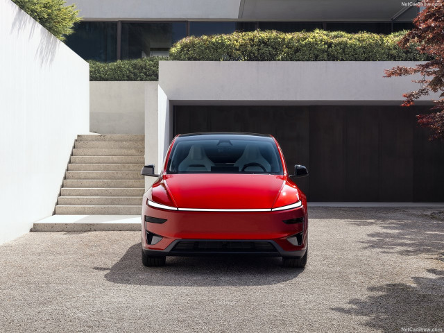 Tesla Model Y фото