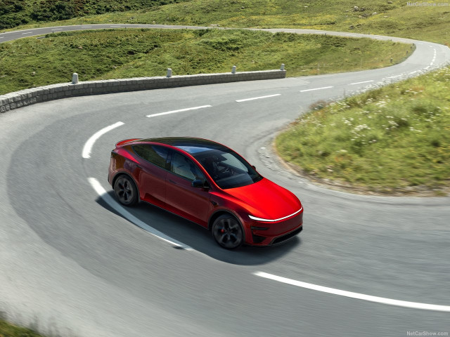Tesla Model Y фото