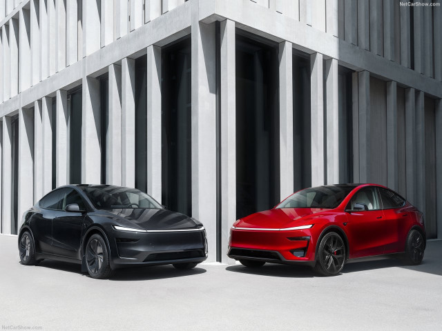 Tesla Model Y фото