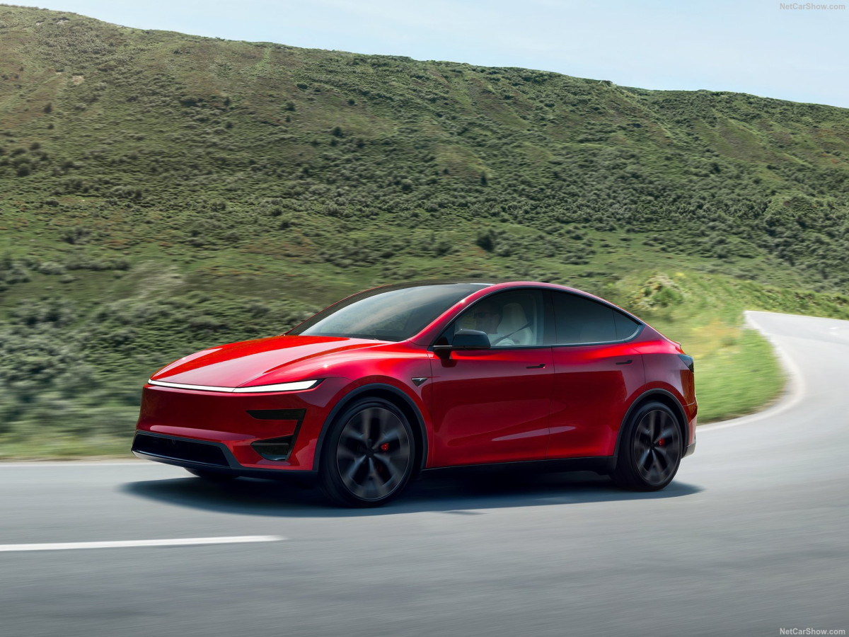 Tesla Model Y фото 213156