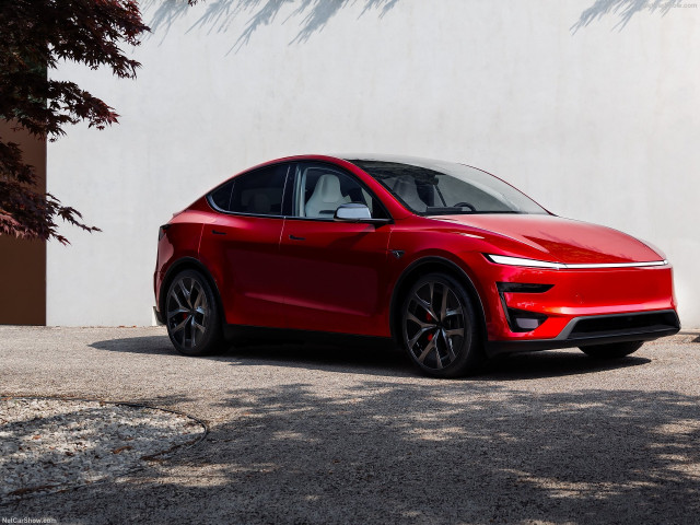 Tesla Model Y фото