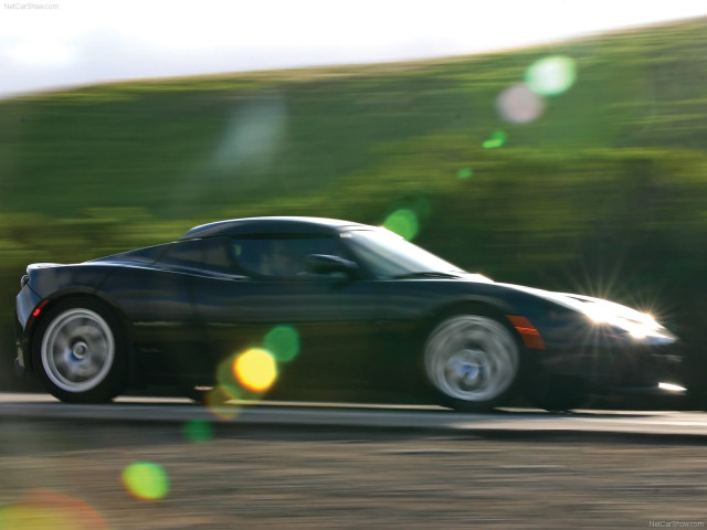 Tesla Roadster фото