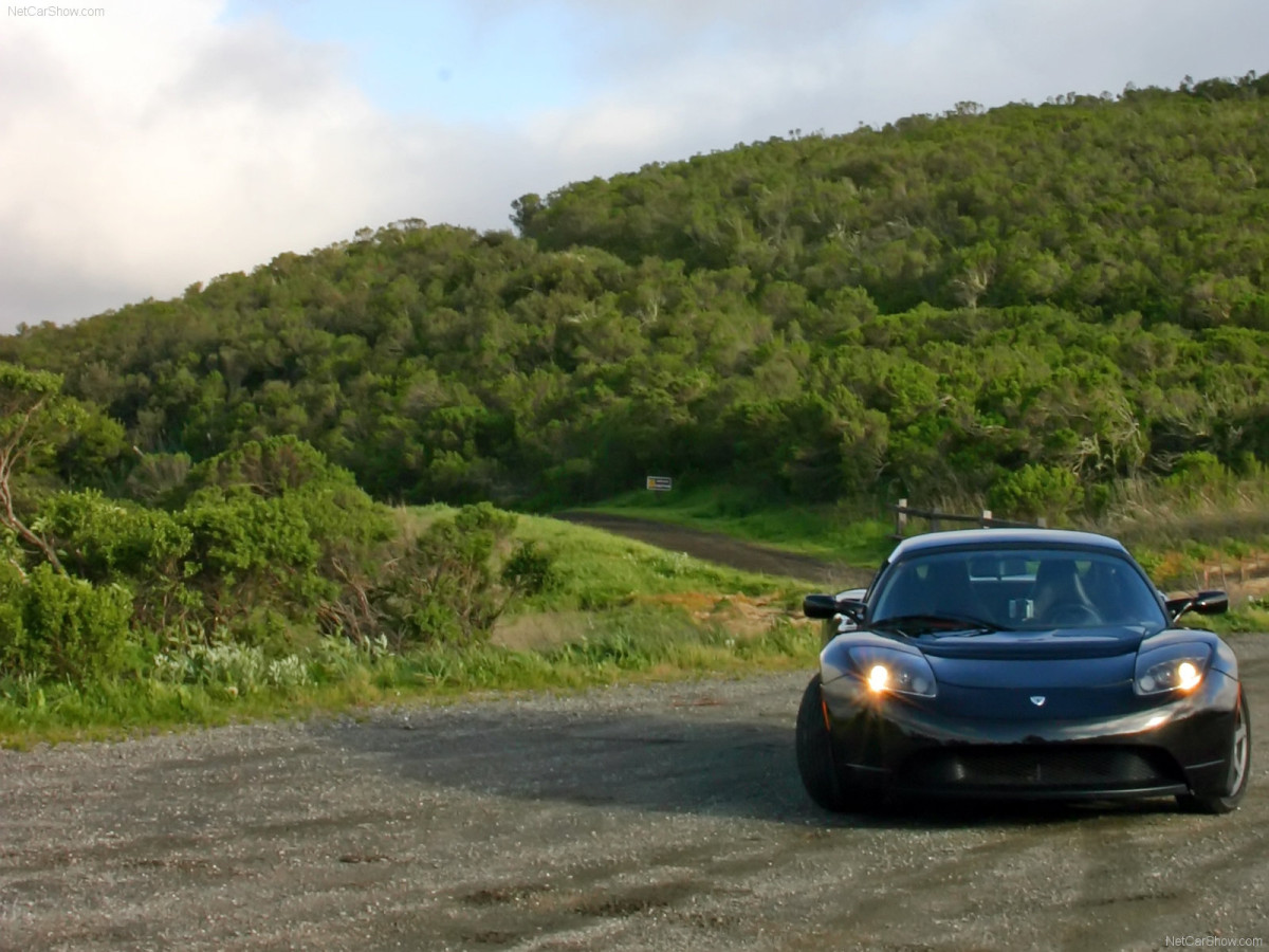 Tesla Roadster фото 163654