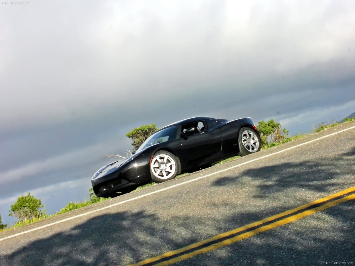 Tesla Roadster фото 163675