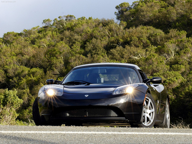 Tesla Roadster фото