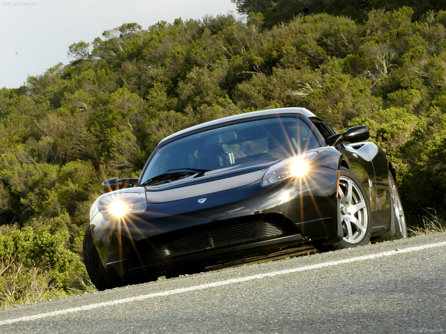 Tesla Roadster фото