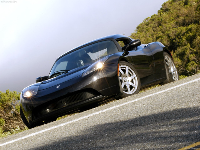 Tesla Roadster фото