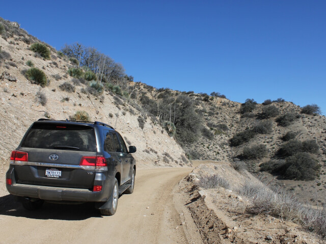 Toyota Land Cruiser фото