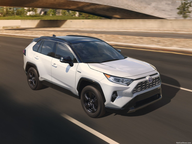 Toyota Rav 4 фото