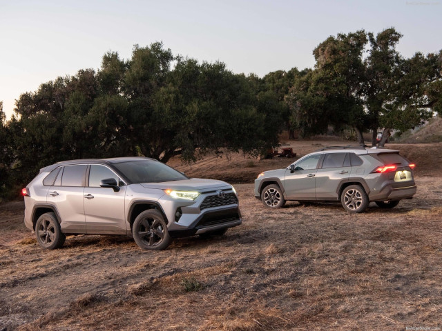 Toyota Rav 4 фото
