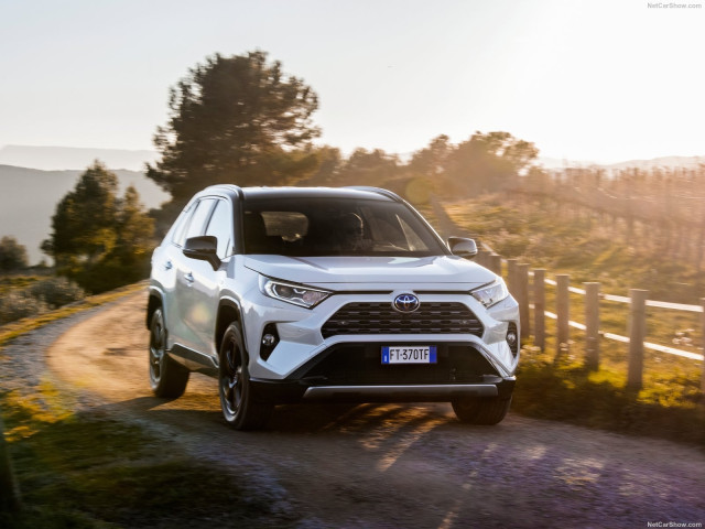 Toyota RAV4 Hybrid фото