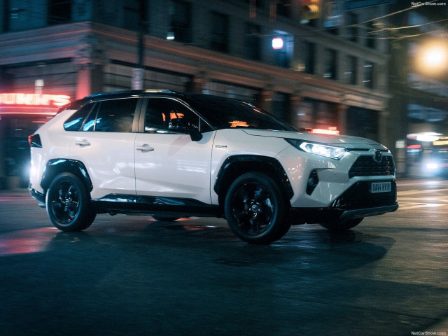 Toyota RAV4 Hybrid фото
