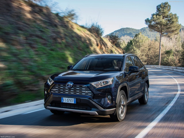 Toyota RAV4 Hybrid фото