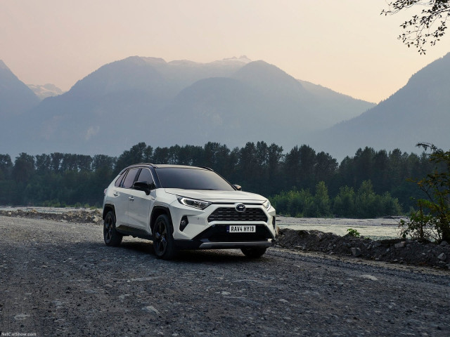 Toyota RAV4 Hybrid фото