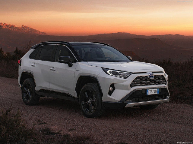 Toyota RAV4 Hybrid фото