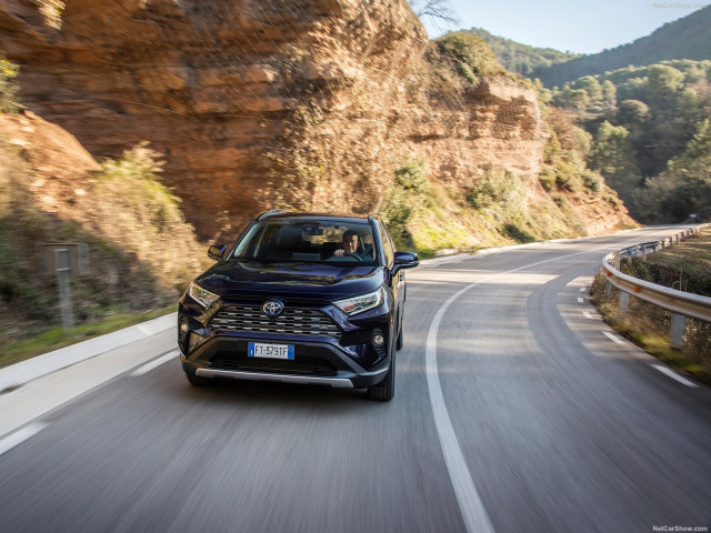 Toyota RAV4 Hybrid фото
