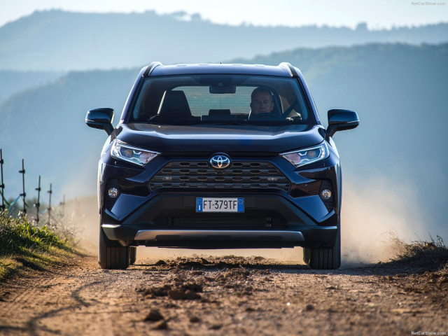 Toyota RAV4 Hybrid фото
