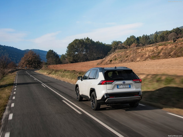 Toyota RAV4 Hybrid фото