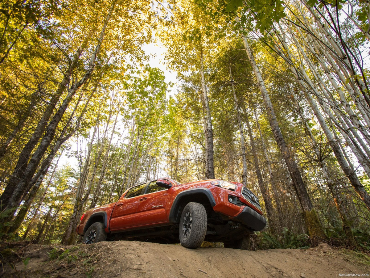 Toyota Tacoma TRD Off-Road фото 156167