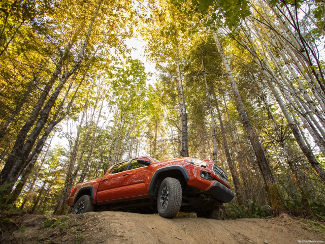 Toyota Tacoma TRD Off-Road фото